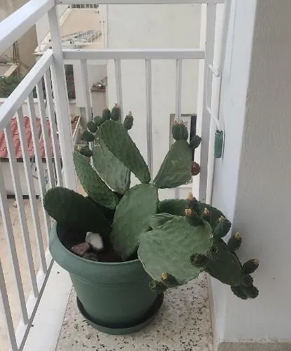 Comfort For Small Family アパート